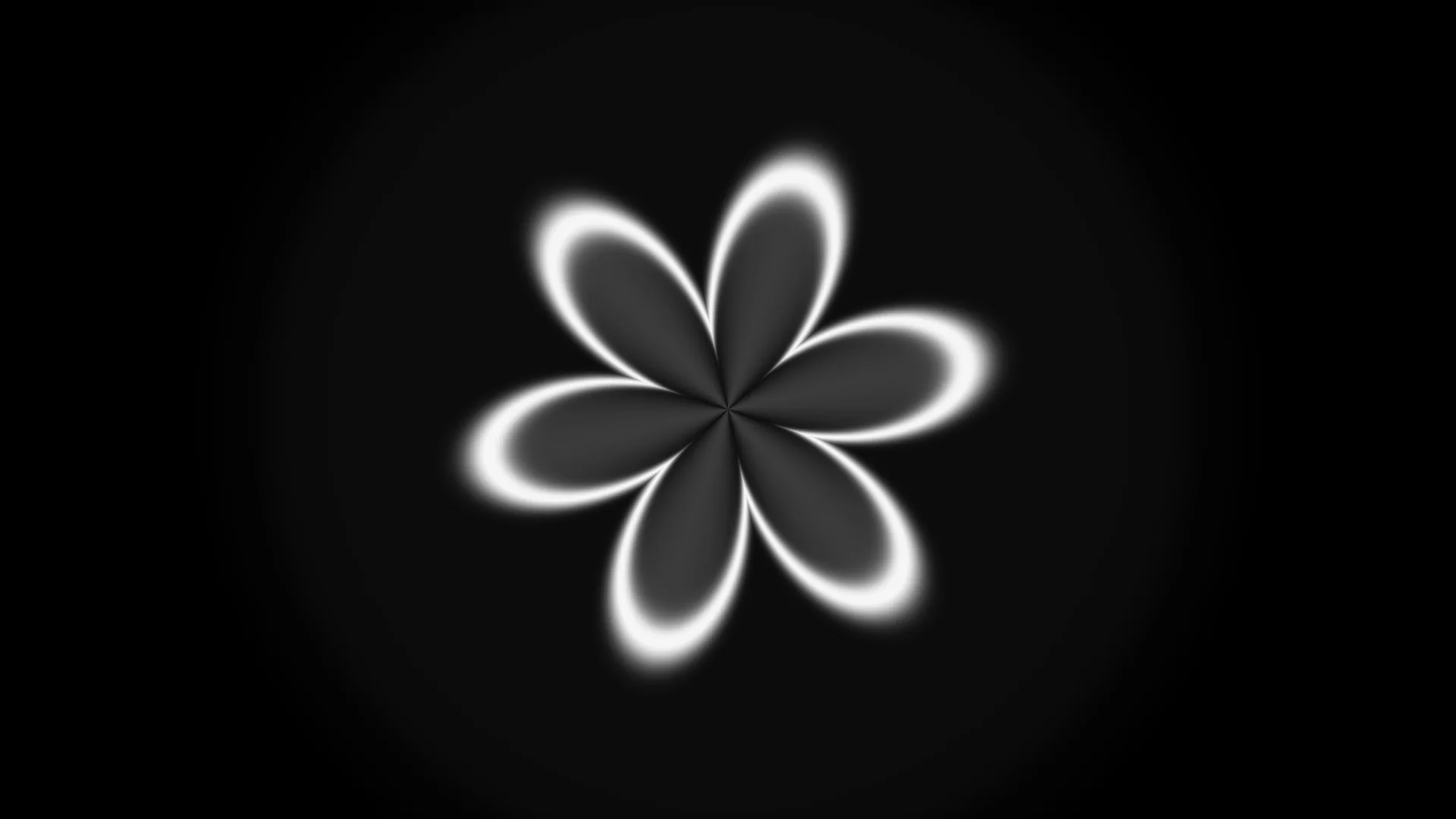 Six-lobed white rosette on a black gradient — free 3840x2160 4K wallpaper image