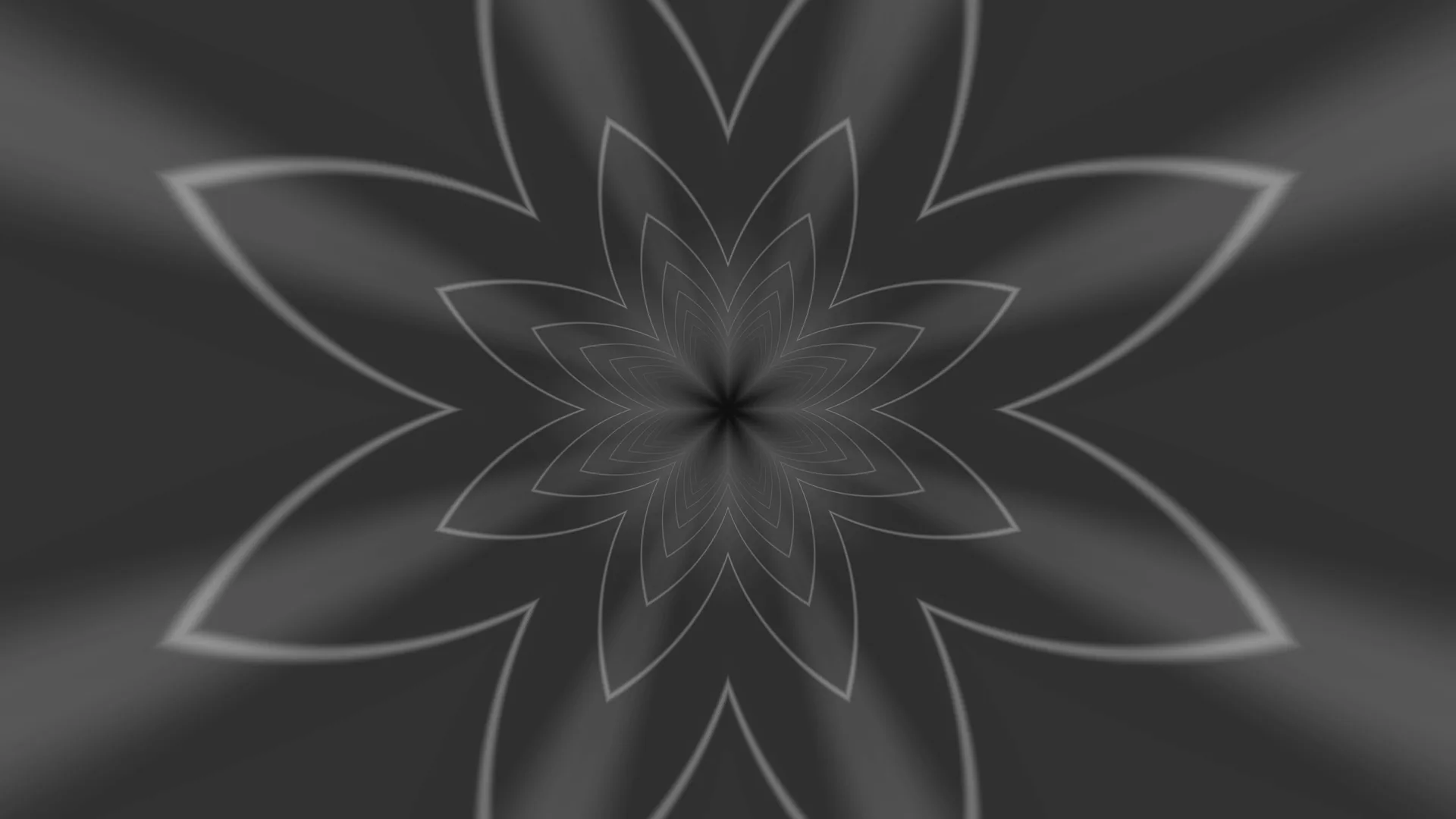 Monochrome radial flower with layered contours — free 3840x2160 4K wallpaper image