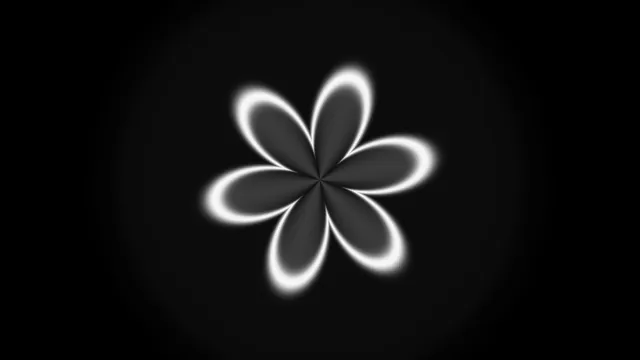 Six-lobed white rosette on a black gradient — free 3840x2160 4K wallpaper image