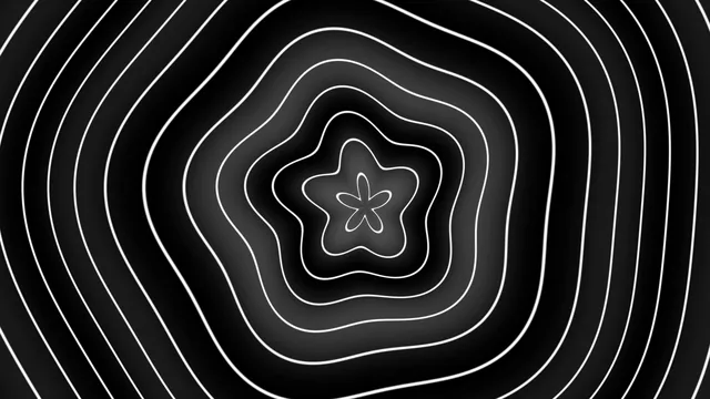 Monochrome contour lines with floral center — free 3840x2160 4K wallpaper image