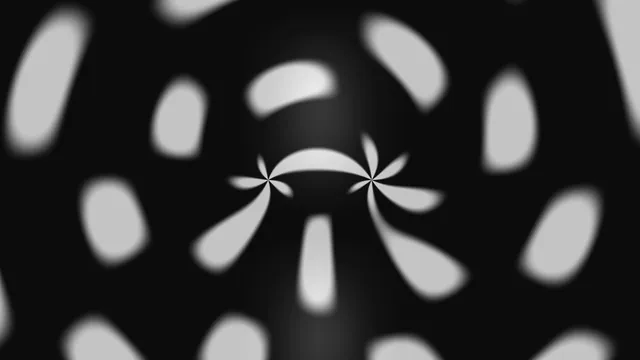 Monochrome radial petals on a black field — free 3840x2160 4K wallpaper image