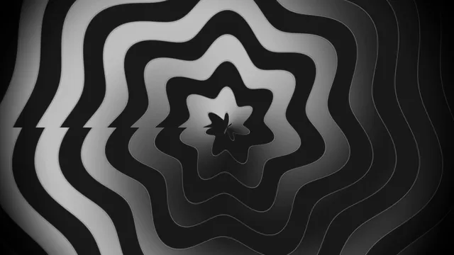 Monochrome concentric organic contour pattern — free 3840x2160 4K wallpaper image